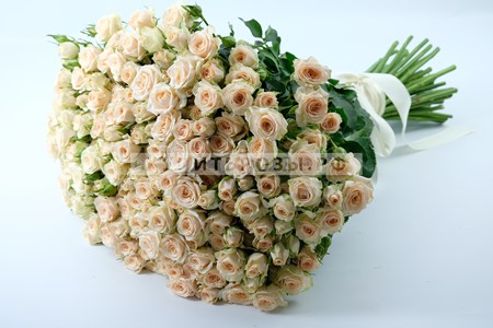 Букет роз 51 Кремовая кустовая роза купить в Москве недорого